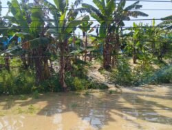 Banjir Rendam 34 Desa di Grobogan, 5.214 KK Terdampak; Sejumlah Tanggul Jebol dan Jalur KA Jakarta-Surabaya Terganggu