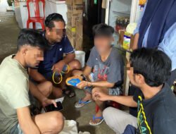 Polda Maluku Utara Tangkap Seorang Pemuda Morotai Atas Kepemilikan 42,09 gram Ganja