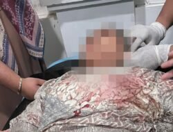 Oknum Brimob Diduga Aniaya Istri hingga Kritis, Desakan Pemecatan Menguat