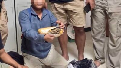 Kuasai 545 gram Ganja, Polda Maluku Utara Ringkus Seorang Pemuda di Lelilef