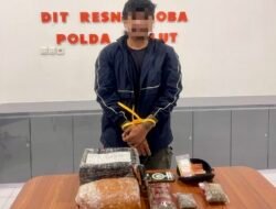 Kuasai 614 Gram Ganja, Polisi Tangkap Seorang Pemuda di Sofifi