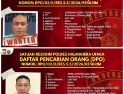 2 Tersangka Kasus Tambang Ilegal di Halmahera Utara Ditetapkan DPO, Polisi Lakukan Pengejaran