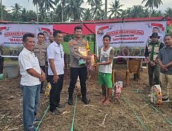 2 Kelompok Tani Binaan Polsek Ibu Mulai Menanam Jagung di Lahan Seluas 3 Hektar