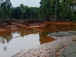 ‎‎Aktivitas Tambang PT Feni Diduga Cemari Kali Kukuba di Halmahera Timur‎‎