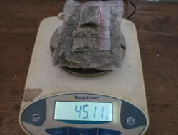 ‎Transaksi Via Instagram, Pemuda di Halteng Ditangkap dengan Puluhan Paket Ganja‎‎