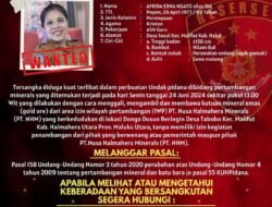 ‎Polres Halmahera Utara Terbitkan DPO Kasus Dugaan Tambang Emas Ilegal di Wilayah PT NHM