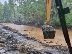 PT Feni Haltim Buka Suara Soal Dugaan Pencemaran Perairan di Teluk Buli