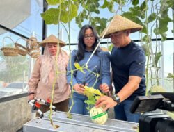 Tinjau Wisata Agro Melon Gambesi, Kapolda Brigjen Arif Dorong Pengembangan Pertanian Produktif di Sofifi
