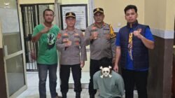 Kurang dari Delapan Jam, Polisi Ringkus Pelaku Pembunuhan Pemuda di Morotai
