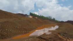 GPM Desak Pemerintah Cabut IUP PT Smart Marsindo di Pulau Gebe
