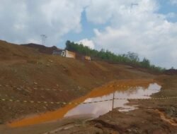GPM Desak Pemerintah Cabut IUP PT Smart Marsindo di Pulau Gebe