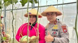 Melon Berbuah Manis di Sofifi, Kapolda Malut Dorong Polisi dan Warga Bertani Hidroponik